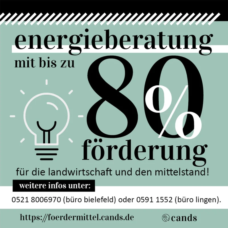 Bis zu 90% Kostenerstattung für die Erstellung von Onlineshops