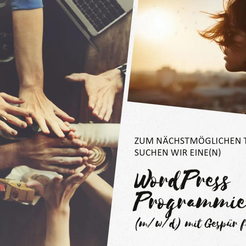 Wir suchen einen WordPress Programmierer (m/w/d) mit Gespür für Design