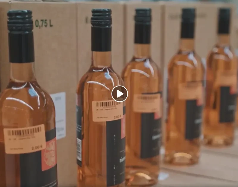 Videoproduktion für Outletverkäufe in Ostwestfalen