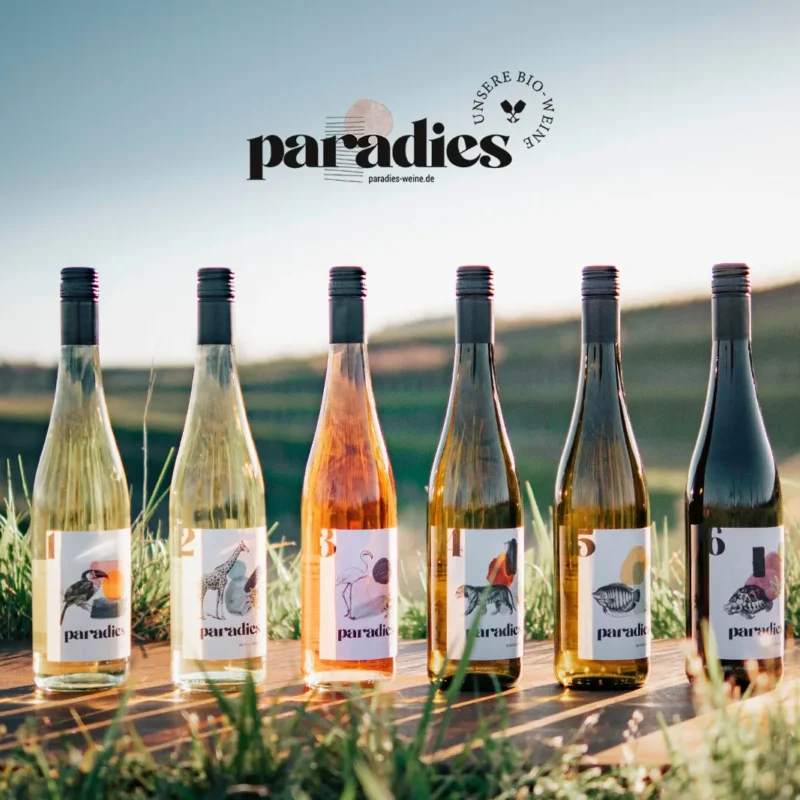 Die neuen Bio-Weinserie „Paradies“: Ein Projekt des Weinparadies Hess und dem ökologischen Weingut Schmidt am wunderschönen Kaiserstuhl.